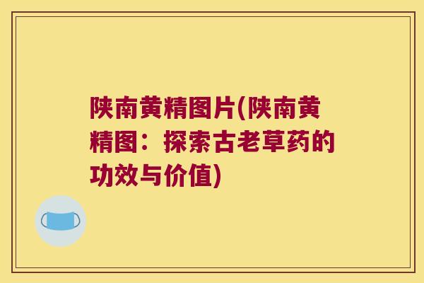 陕南黄精图片(陕南黄精图：探索古老草药的功效与价值)