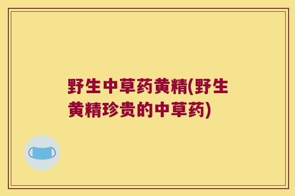 野生中草药黄精(野生黄精珍贵的中草药)