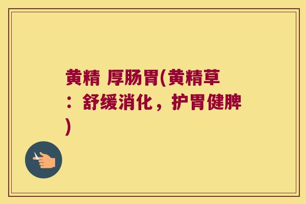 黄精 厚肠胃(黄精草:舒缓消化,护胃健脾) 黄精 厚肠胃(黄精草:舒缓消化,护胃健脾)