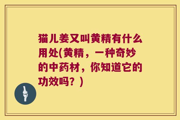 猫儿姜又叫黄精有什么用处(黄精，一种奇妙的材，你知道它的功效吗？)