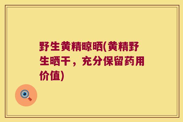 野生黄精晾晒(黄精野生晒干，充分保留药用价值)