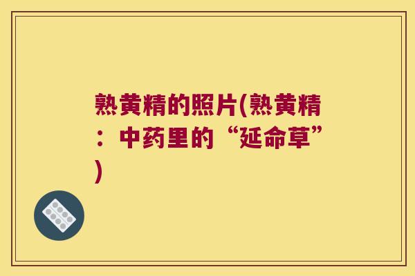 熟黄精的照片(熟黄精:里的“延命草”) 熟黄精的照片(熟黄精:里的“延命草”)