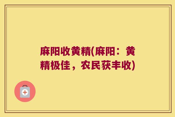 麻阳收黄精(麻阳：黄精极佳，农民获丰收)