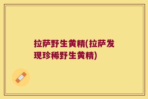 拉萨野生黄精(拉萨发现珍稀野生黄精)