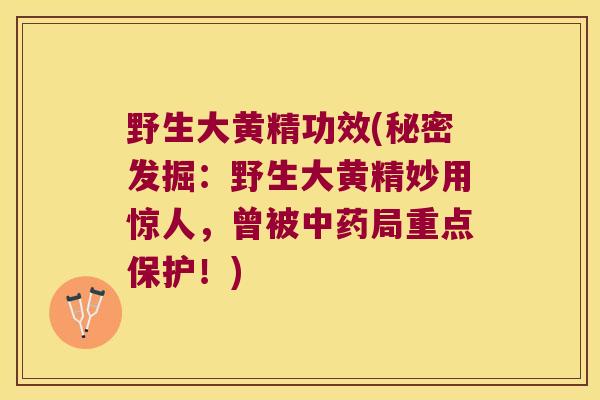 野生大黄精功效(秘密发掘:野生大黄精妙用惊人,曾被局重点保护!) 野生大黄精功效(秘密发掘:野生大黄精妙用惊人,曾被局重点保护!)