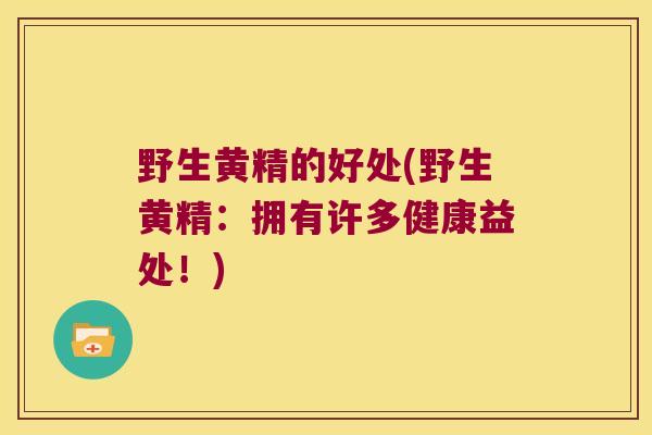 野生黄精的好处(野生黄精：拥有许多健康益处！)