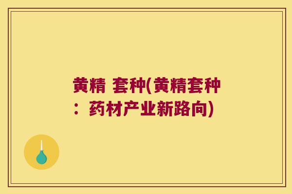黄精 套种(黄精套种：药材产业新路向)