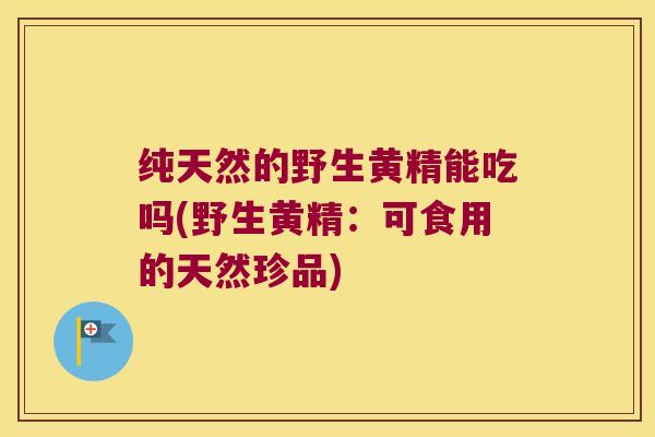 纯天然的野生黄精能吃吗(野生黄精：可食用的天然珍品)