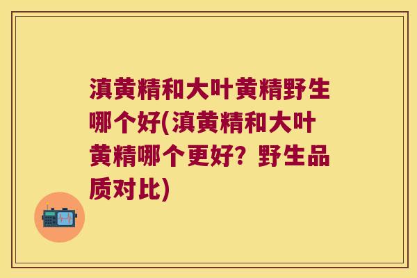 滇黄精和大叶黄精野生哪个好(滇黄精和大叶黄精哪个更好?野生品质对比) 滇黄精和大叶黄精野生哪个好(滇黄精和大叶黄精哪个更好?野生品质对比)