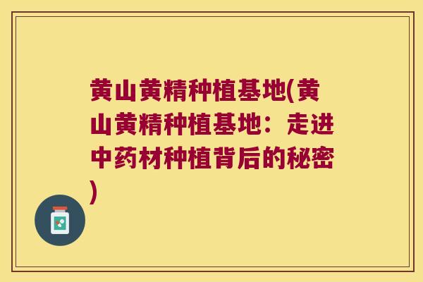 黄山黄精种植基地(黄山黄精种植基地:走进材种植背后的秘密) 黄山黄精种植基地(黄山黄精种植基地:走进材种植背后的秘密)