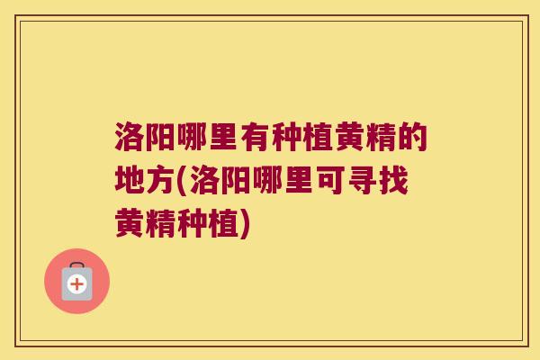 洛阳哪里有种植黄精的地方(洛阳哪里可寻找黄精种植)