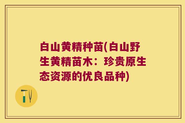 白山黄精种苗(白山野生黄精苗木:珍贵原生态资源的优良品种) 白山黄精种苗(白山野生黄精苗木:珍贵原生态资源的优良品种)