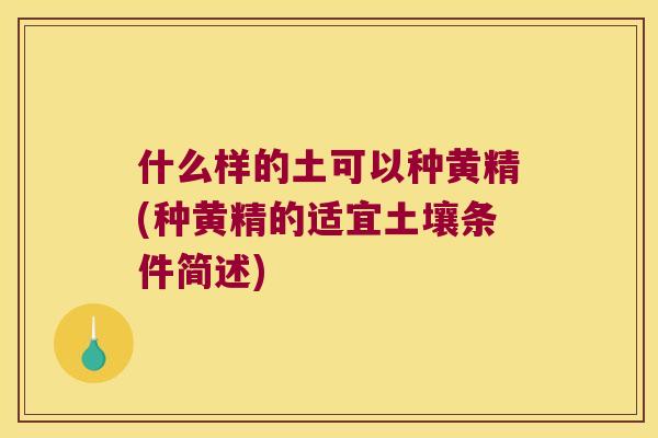 什么样的土可以种黄精(种黄精的适宜土壤条件简述) 什么样的土可以种黄精(种黄精的适宜土壤条件简述)