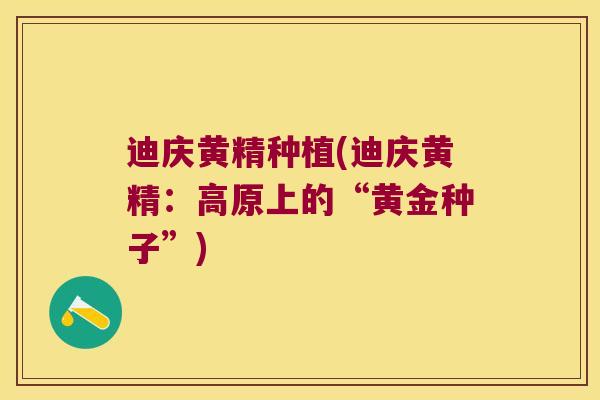 迪庆黄精种植(迪庆黄精：高原上的“黄金种子”)