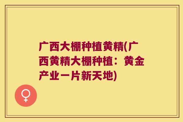 广西大棚种植黄精(广西黄精大棚种植:黄金产业一片新天地) 广西大棚种植黄精(广西黄精大棚种植:黄金产业一片新天地)