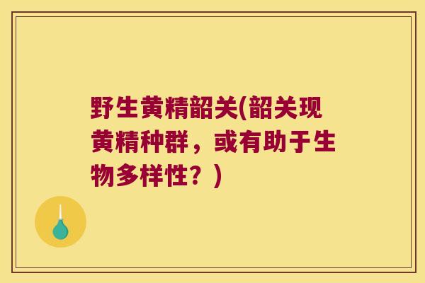 野生黄精韶关(韶关现黄精种群，或有助于生物多样性？)