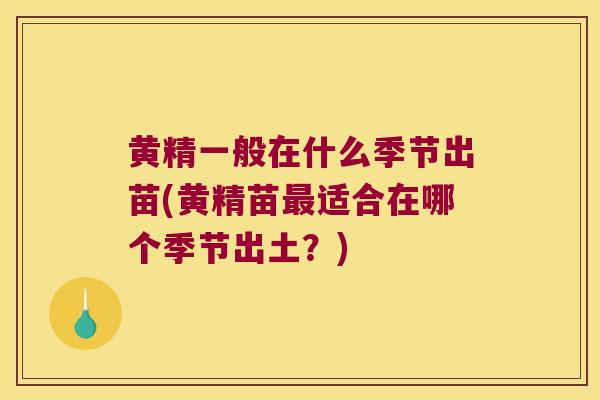 黄精一般在什么季节出苗(黄精苗适合在哪个季节出土？)