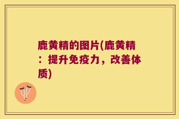 鹿黄精的图片(鹿黄精:提升力,改善体质) 鹿黄精的图片(鹿黄精:提升力,改善体质)