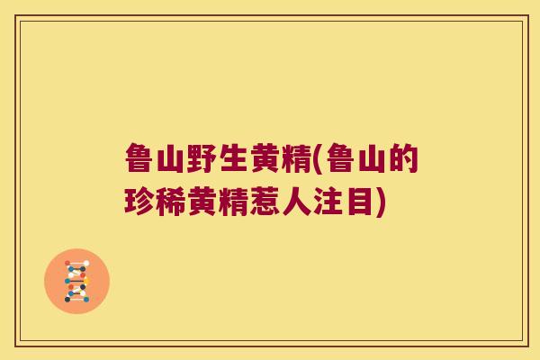 鲁山野生黄精(鲁山的珍稀黄精惹人注目)