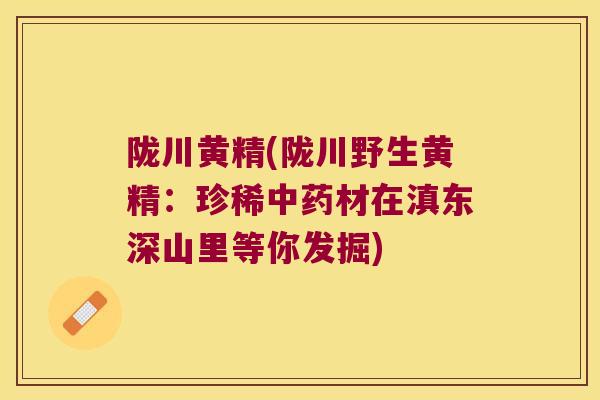 陇川黄精(陇川野生黄精:珍稀材在滇东深山里等你发掘) 陇川黄精(陇川野生黄精:珍稀材在滇东深山里等你发掘)