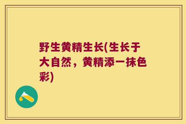 野生黄精生长(生长于大自然，黄精添一抹色彩)