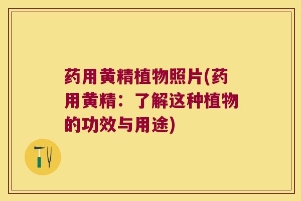 药用黄精植物照片(药用黄精:了解这种植物的功效与用途) 药用黄精植物照片(药用黄精:了解这种植物的功效与用途)