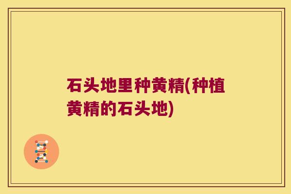石头地里种黄精(种植黄精的石头地) 石头地里种黄精(种植黄精的石头地)