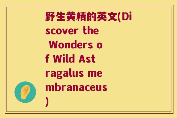野生黄精的英文(Discover the Wonders of Wild Astragalus membranaceus) 野生黄精的英文(Discover the Wonders of Wild Astragalus membranaceus)