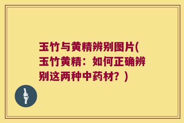 玉竹与黄精辨别图片(玉竹黄精:如何正确辨别这两种材?) 玉竹与黄精辨别图片(玉竹黄精:如何正确辨别这两种材?)