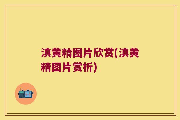 滇黄精图片欣赏(滇黄精图片赏析) 滇黄精图片欣赏(滇黄精图片赏析)