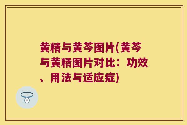 黄精与黄芩图片(黄芩与黄精图片对比:功效、用法与适应症) 黄精与黄芩图片(黄芩与黄精图片对比:功效、用法与适应症)