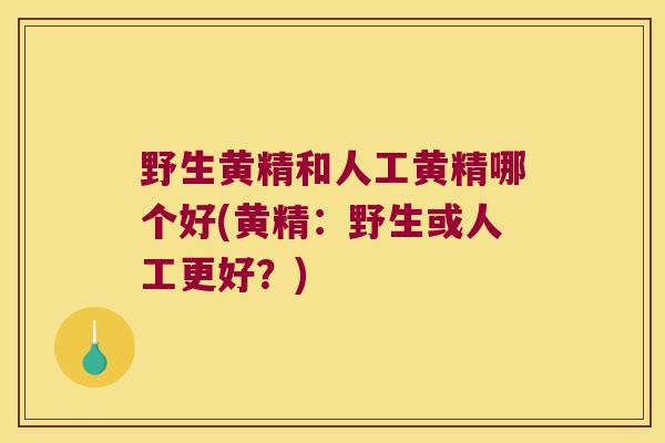 野生黄精和人工黄精哪个好(黄精：野生或人工更好？)