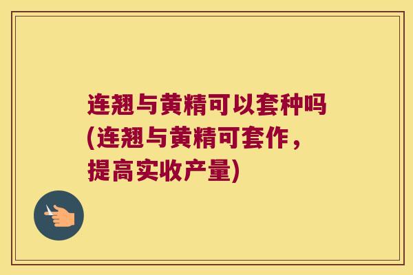 连翘与黄精可以套种吗(连翘与黄精可套作，提高实收产量)