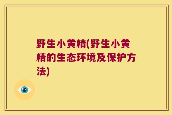 野生小黄精(野生小黄精的生态环境及保护方法)