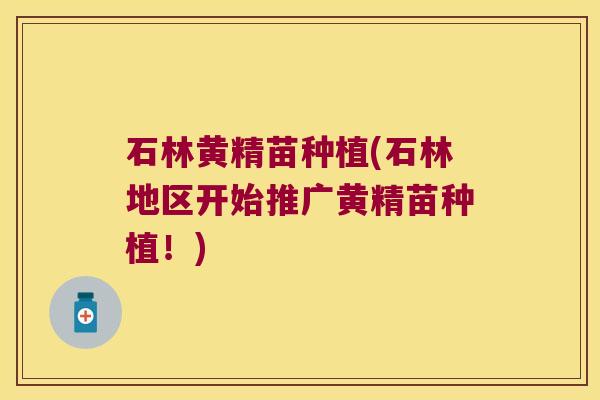 石林黄精苗种植(石林地区开始推广黄精苗种植！)