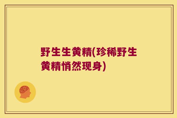 野生生黄精(珍稀野生黄精悄然现身) 野生生黄精(珍稀野生黄精悄然现身)