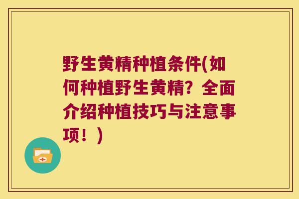 野生黄精种植条件(如何种植野生黄精？全面介绍种植技巧与注意事项！)