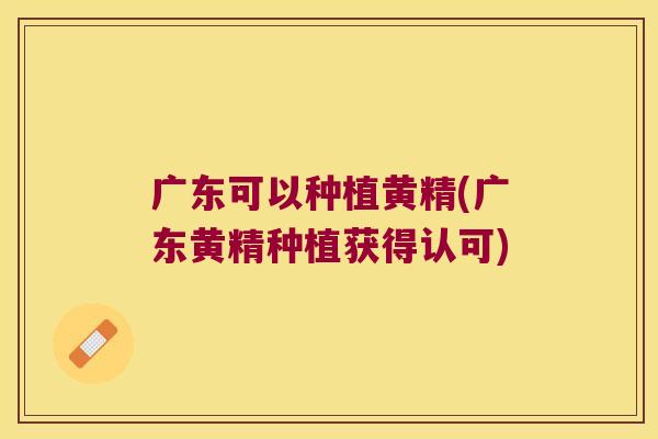 广东可以种植黄精(广东黄精种植获得认可)