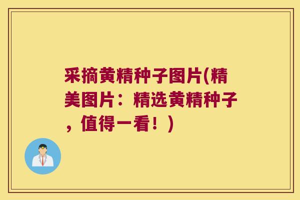 采摘黄精种子图片(精美图片：精选黄精种子，值得一看！)
