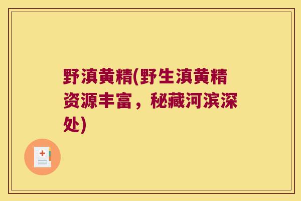 野滇黄精(野生滇黄精资源丰富,秘藏河滨深处) 野滇黄精(野生滇黄精资源丰富,秘藏河滨深处)