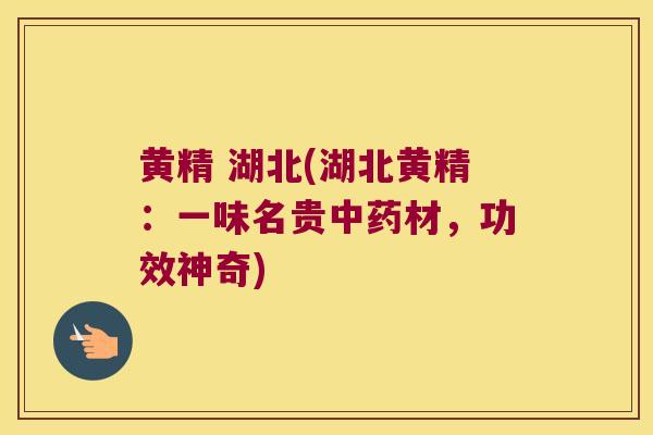 黄精 湖北(湖北黄精：一味名贵材，功效神奇)