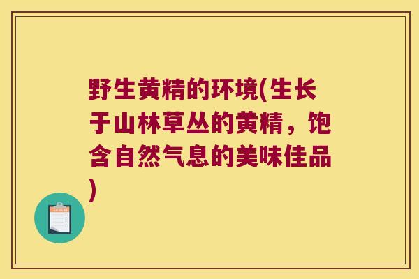 野生黄精的环境(生长于山林草丛的黄精,饱含自然气息的美味佳品) 野生黄精的环境(生长于山林草丛的黄精,饱含自然气息的美味佳品)