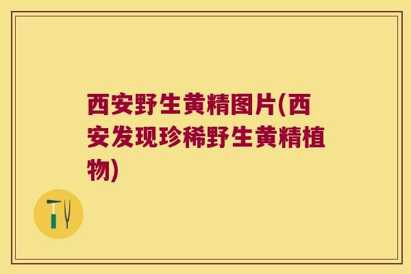 西安野生黄精图片(西安发现珍稀野生黄精植物) 西安野生黄精图片(西安发现珍稀野生黄精植物)
