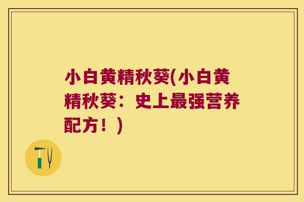 小白黄精秋葵(小白黄精秋葵：史上强营养配方！)