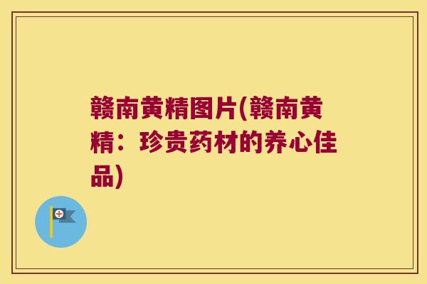 赣南黄精图片(赣南黄精:珍贵药材的养心佳品) 赣南黄精图片(赣南黄精:珍贵药材的养心佳品)