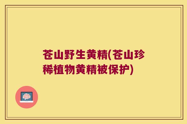 苍山野生黄精(苍山珍稀植物黄精被保护) 苍山野生黄精(苍山珍稀植物黄精被保护)