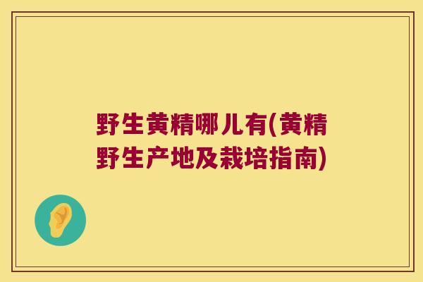 野生黄精哪儿有(黄精野生产地及栽培指南)