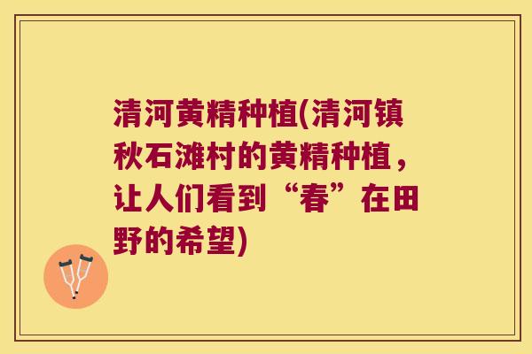 清河黄精种植(清河镇秋石滩村的黄精种植，让人们看到“春”在田野的希望)