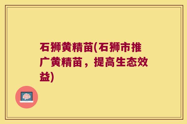 石狮黄精苗(石狮市推广黄精苗，提高生态效益)