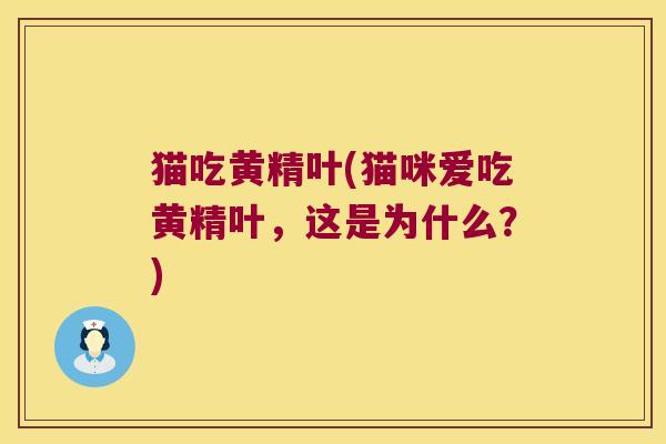 猫吃黄精叶(猫咪爱吃黄精叶,这是为什么?) 猫吃黄精叶(猫咪爱吃黄精叶,这是为什么?)